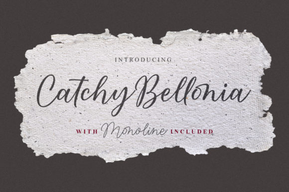 Download Catchy Bellonia - Premium Resources